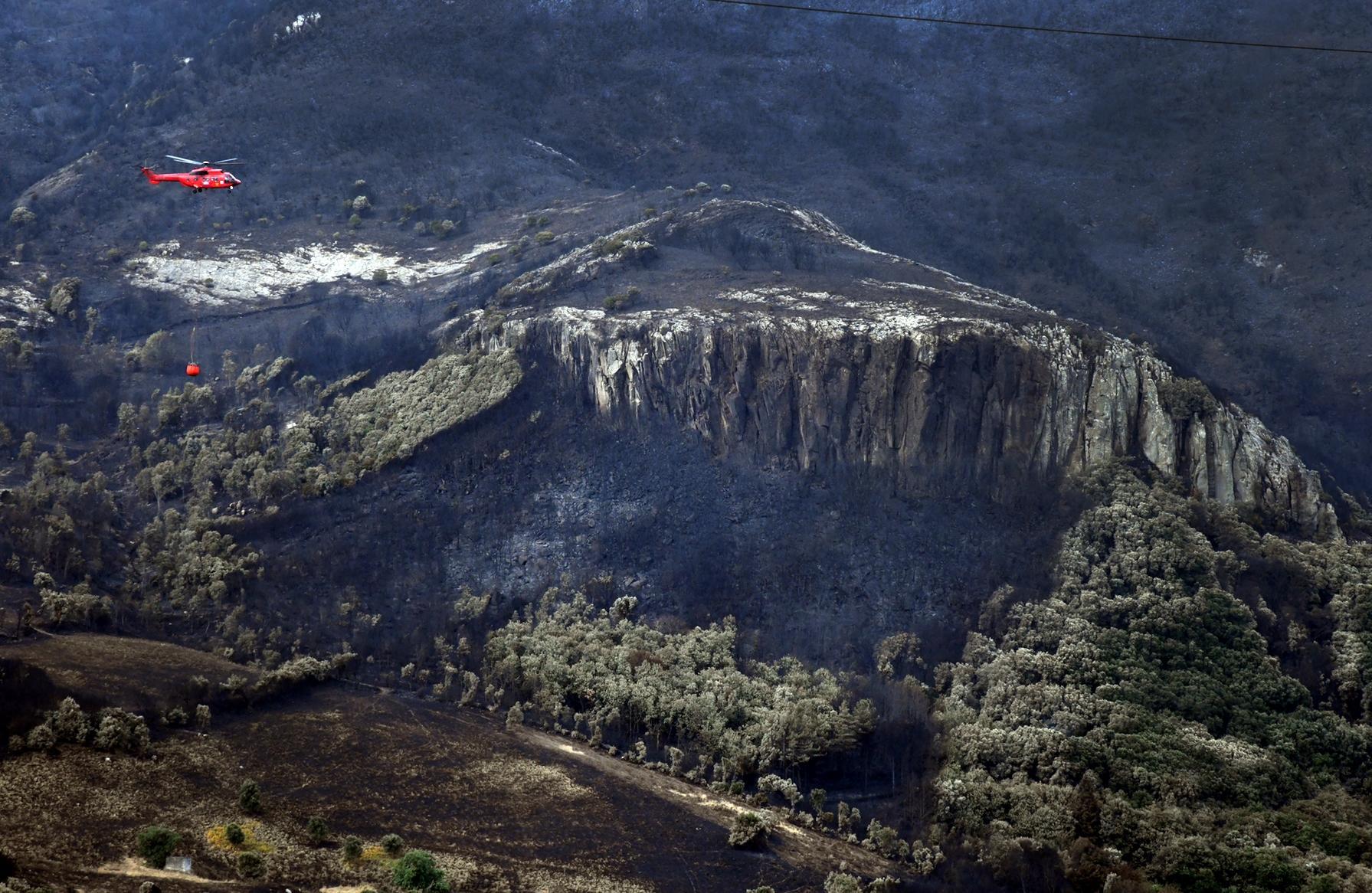 Incendi: per l'assessore regionale i mezzi aerei sono insufficienti