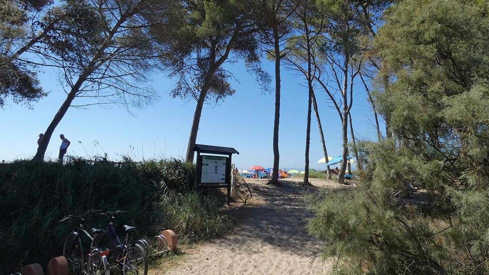 I posti letto alla Sterpaia all’esame della Soprintendenza