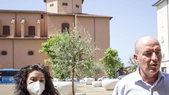 La Venezia è più verde: ecco dodici nuovi alberi in piazza del Luogo Pio
