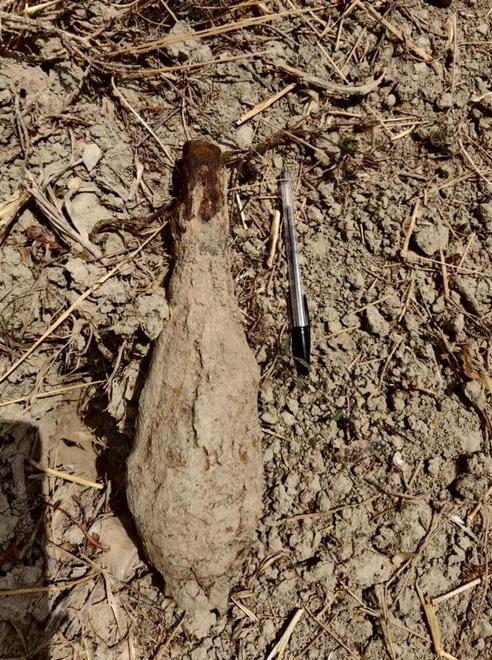 Proiettile inesploso nei campi di lavanda Avvisati gli artificieri