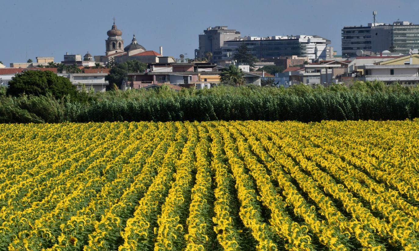 L’unica zona gialla che piace a tutti