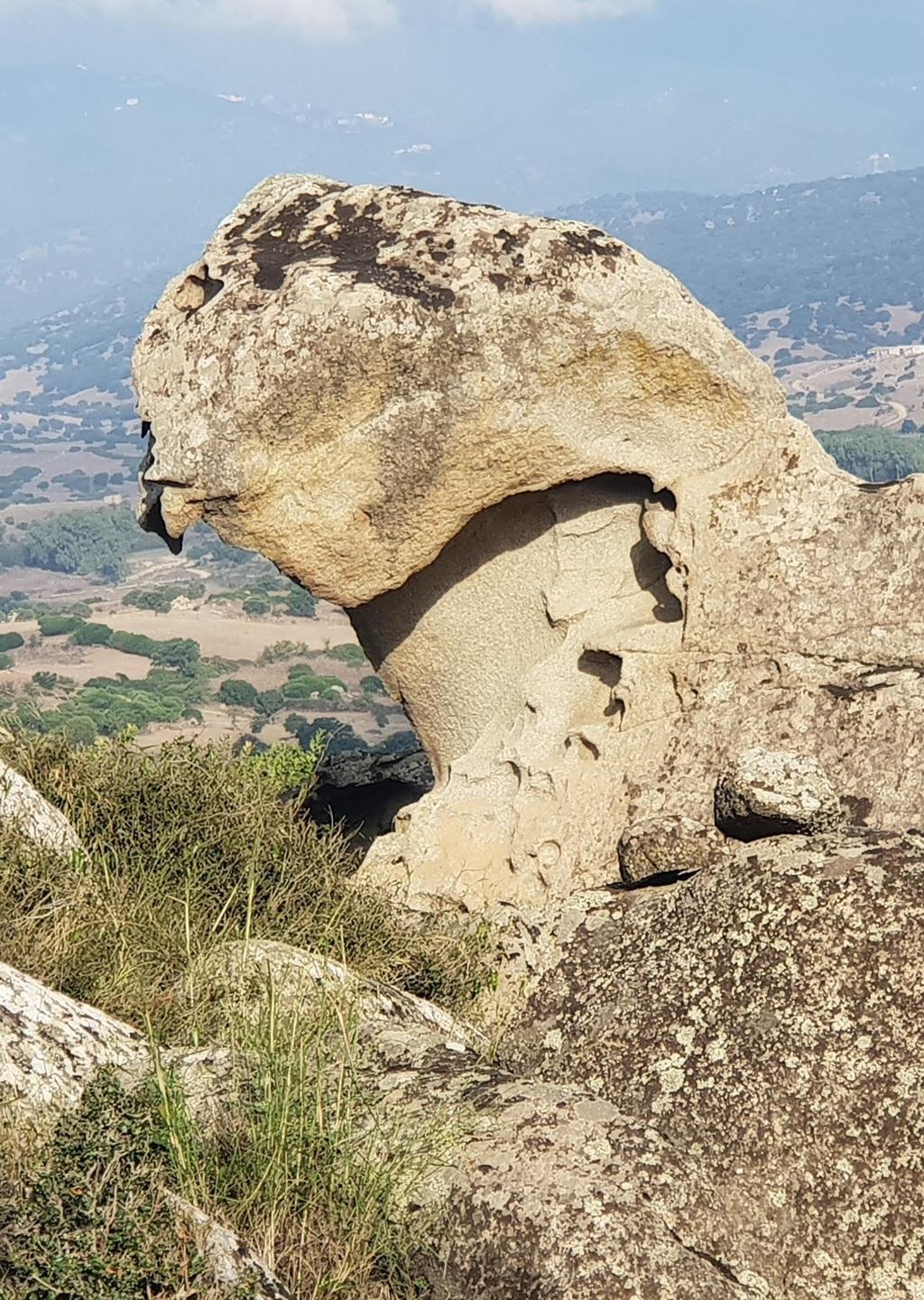 Ultimato il percorso naturalistico “Alla scoperta del territorio”