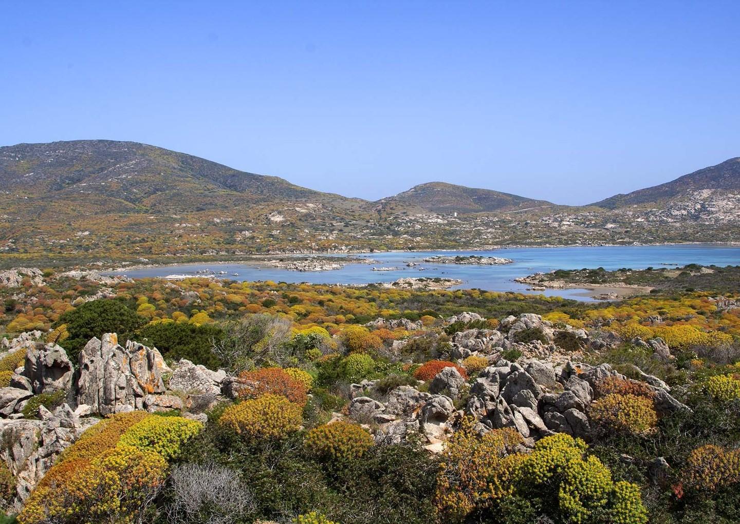 Frailis (Pd) a Cingolani: «Urgente la nomina del direttivo del Parco»