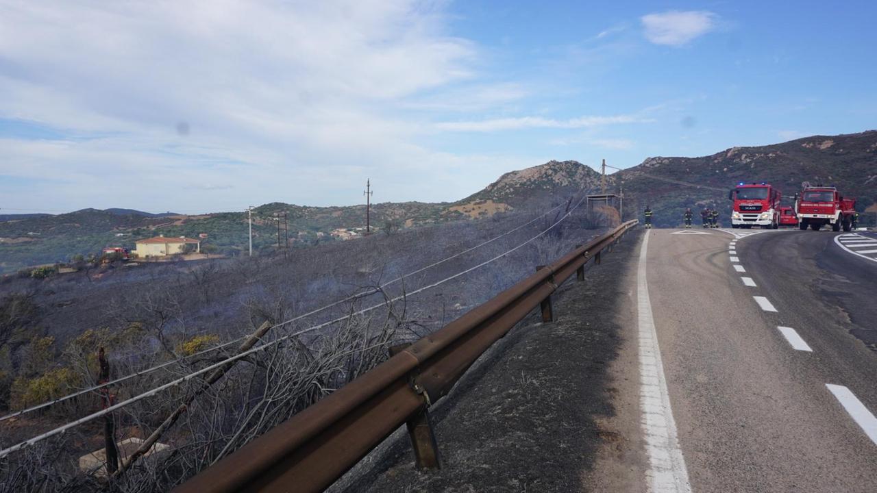 Loiri, vasto incendio a Montelittu: intervengono elicotteri e canadair  