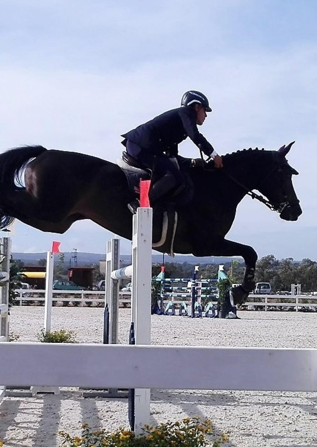 Salto ostacoli all’Ippopark di Porto Rotondo 
