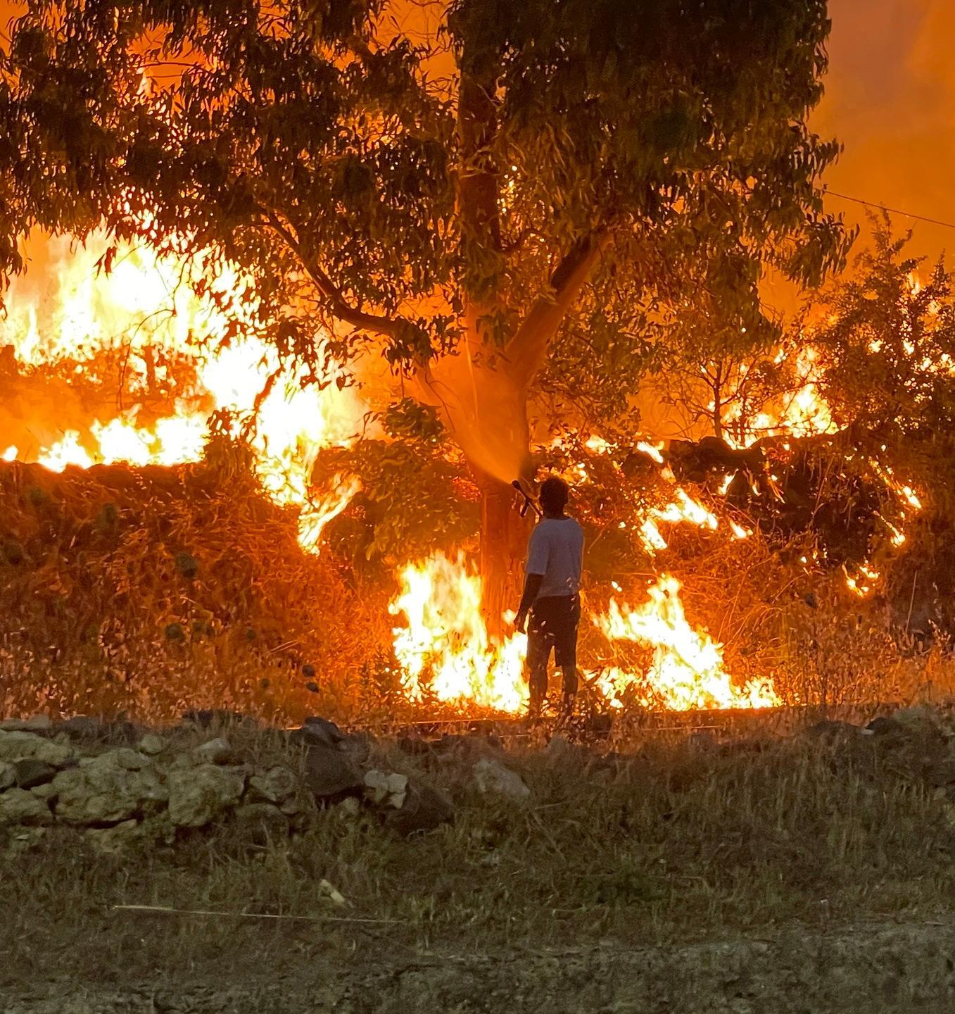 Inferno di fuoco nell'Oristanese: «Solo la prevenzione ferma i maxi roghi» 