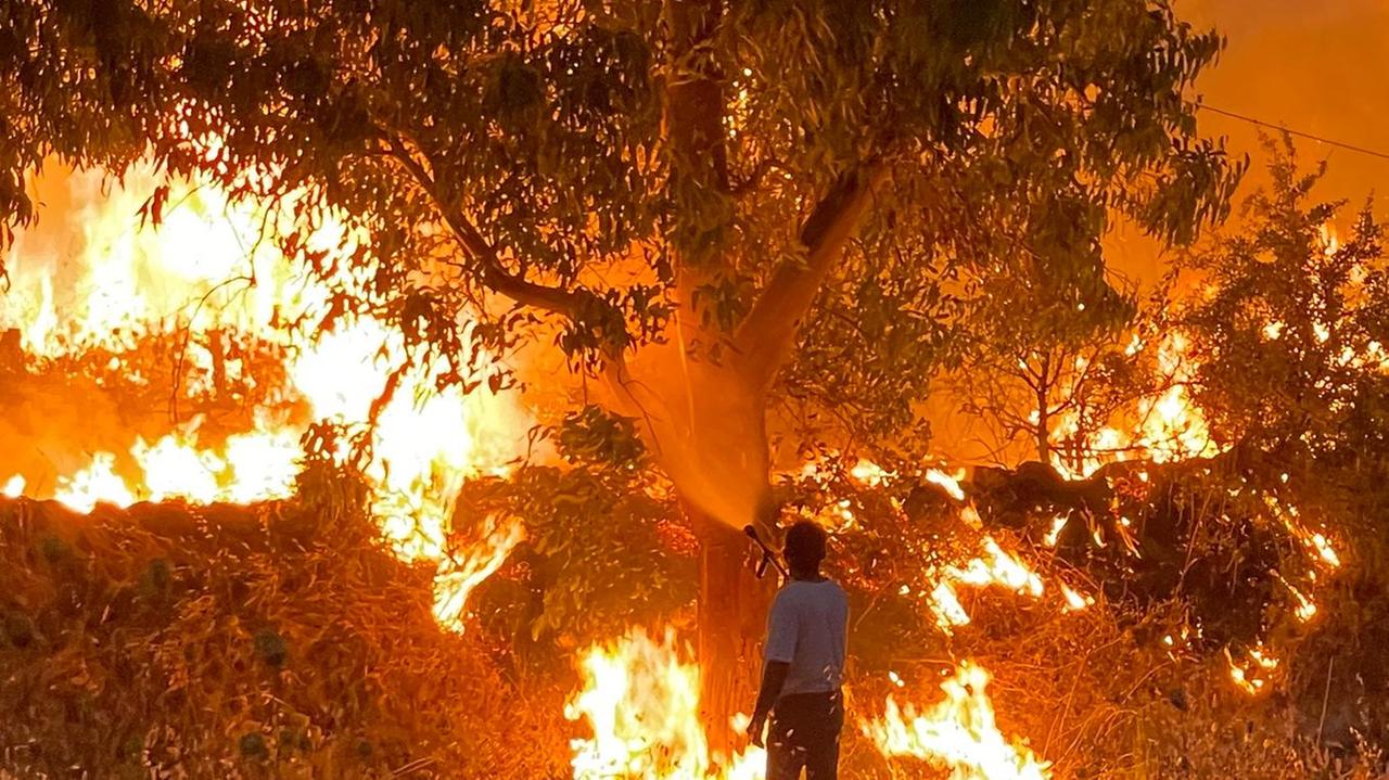 Inferno di fuoco nell'Oristanese: «Solo la prevenzione ferma i maxi roghi» 