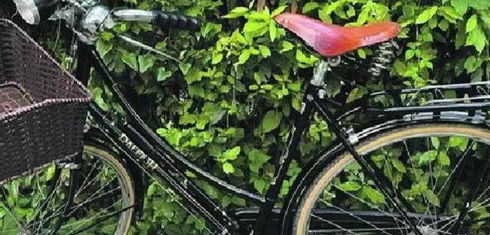 Sono tornati al mare i ladri di biciclette Colpo in una villa 