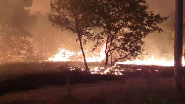 Incendi:il bosco di Gravina brucia ancora, 3 fronti attivi