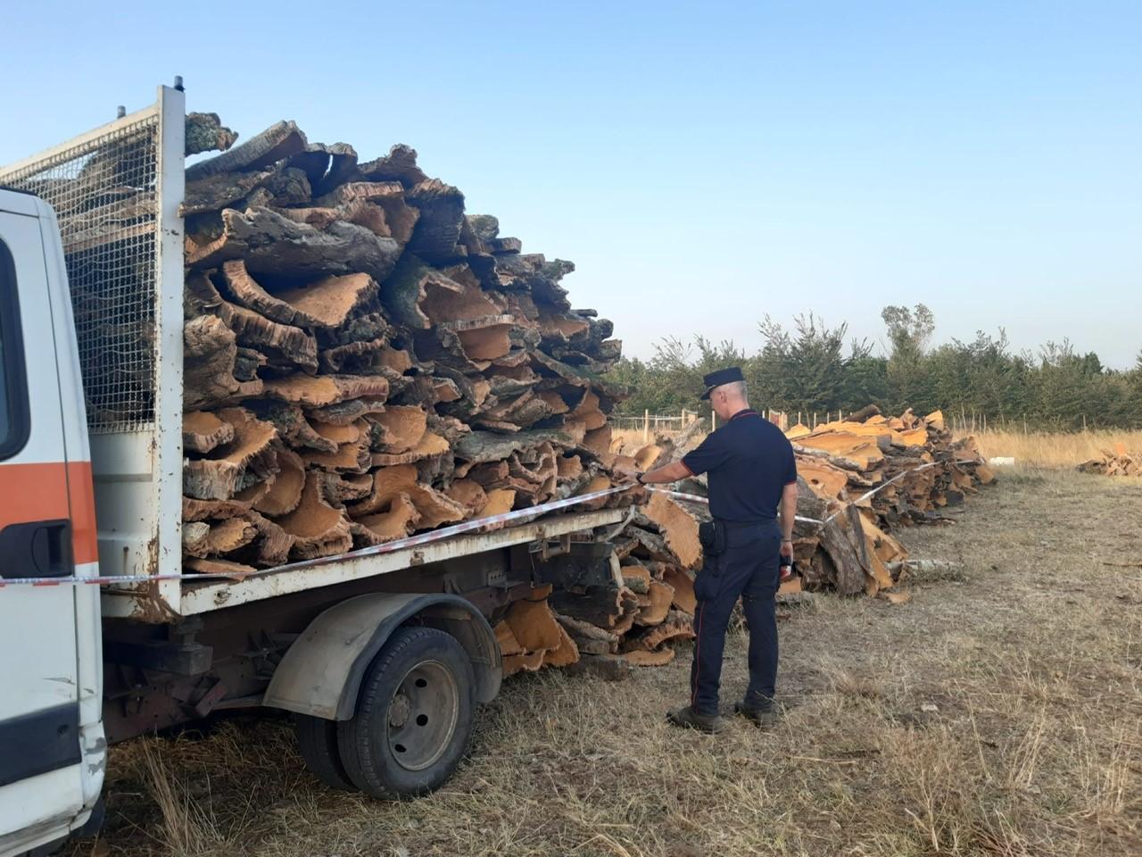 Ruba 35 quintali di sughero: denunciato titolare di azienda agricola