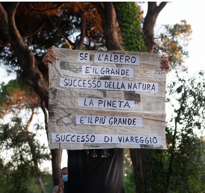 Pineta da salvare, domani assemblea al museo popolare