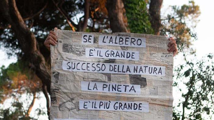 Pineta da salvare, domani assemblea al museo popolare