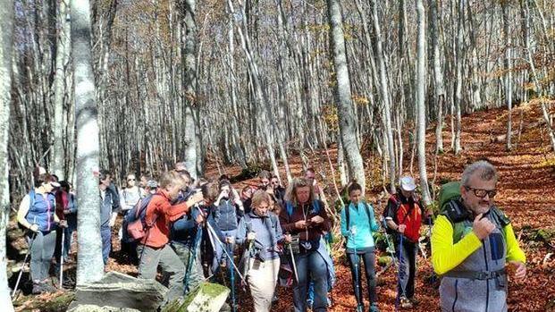 Turismo, il Patto non convince Gilberto Alviani