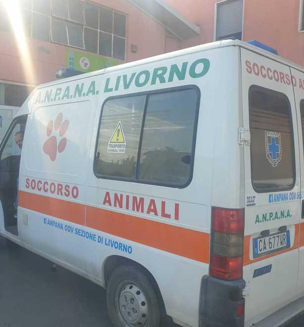 Esposizione rifiuti modifica d’orario 