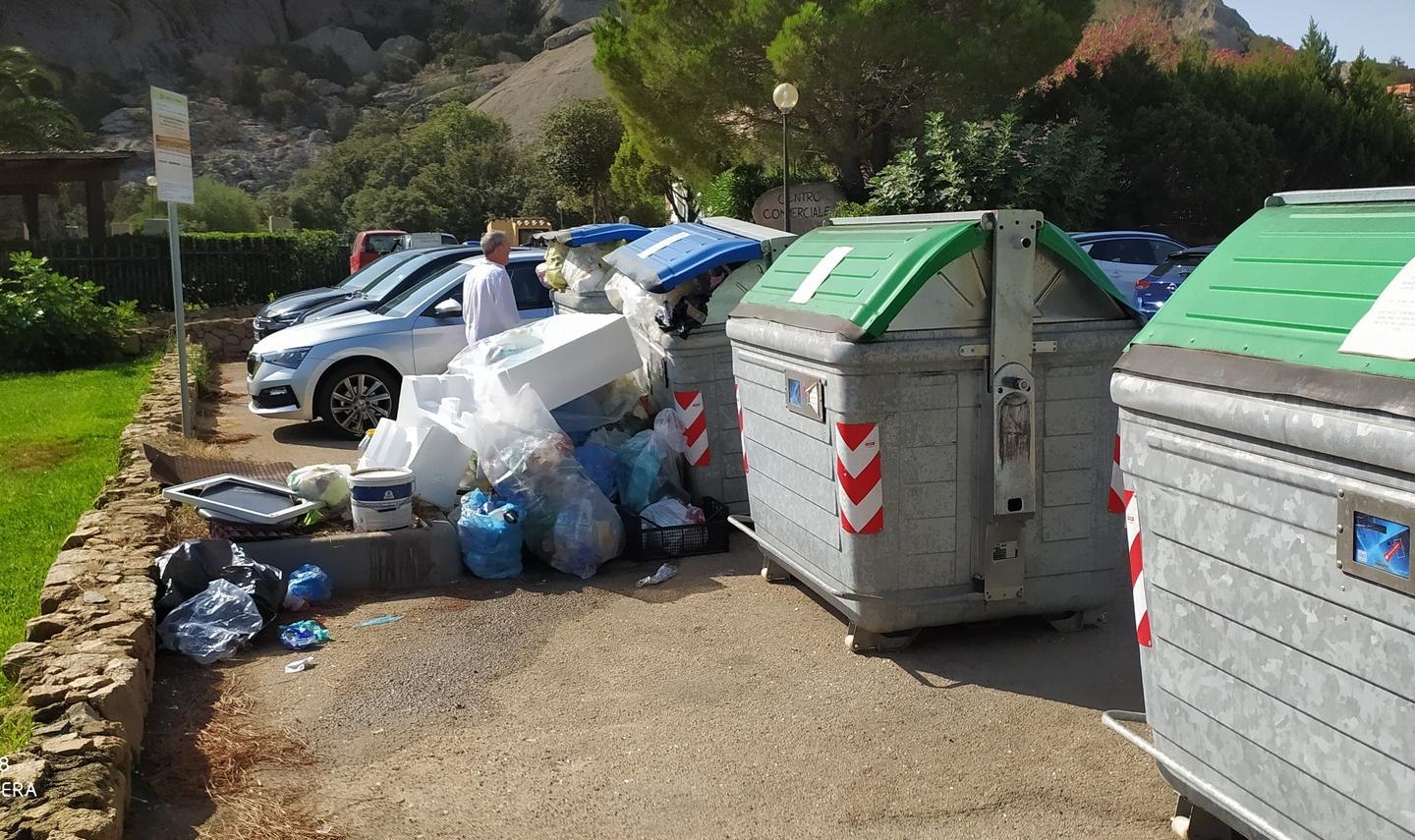 Baia Sardinia topi e gabbiani banchettano nelle isole ecologiche