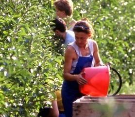 Distretto rurale, debutta il comitato per il Nuorese 