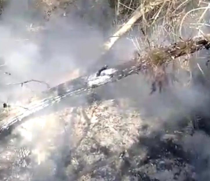 Arrestato dopo 8 tentativi di dare fuoco alla pineta 