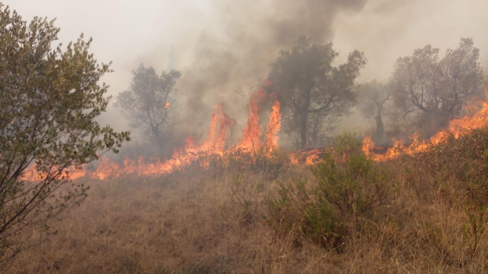 Un incendio nello Scansanese (foto d'archivio)