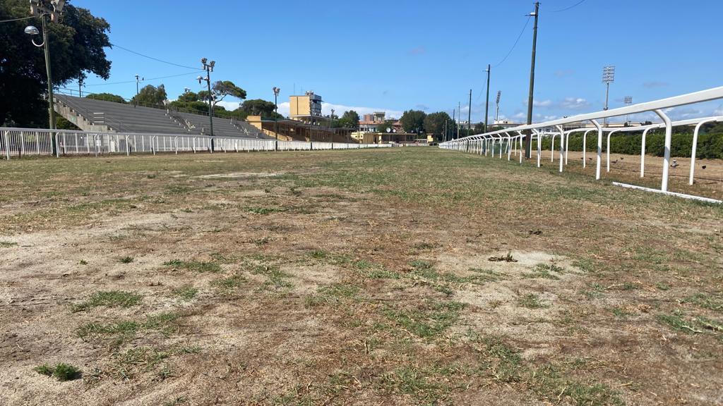 Lo strano caso dell'ippodromo Caprilli a Livorno, dove tutti corrono fuorché i cavalli