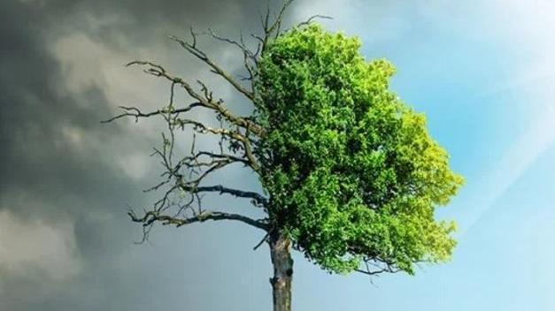Sviluppo sostenibile, clima, inquinamento ora si studiano in un nuovo Master a Pisa