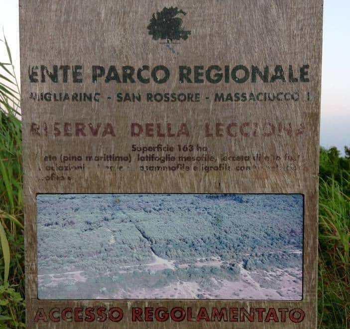 Campeggiano alla Lecciona: multati dai guardiaparco 