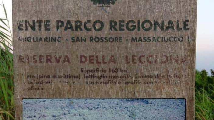 Campeggiano alla Lecciona: multati dai guardiaparco