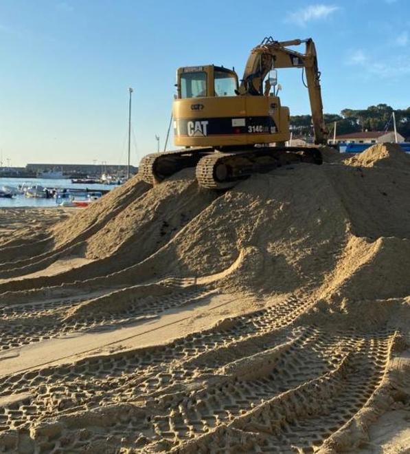Legambiente: «Il ripascimento ha danneggiato le tartarughe» 