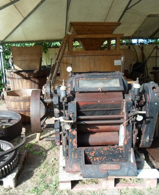 Mostra sulle tradizioni e visite al sorbo in golena