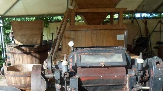 Mostra sulle tradizioni e visite al sorbo in golena