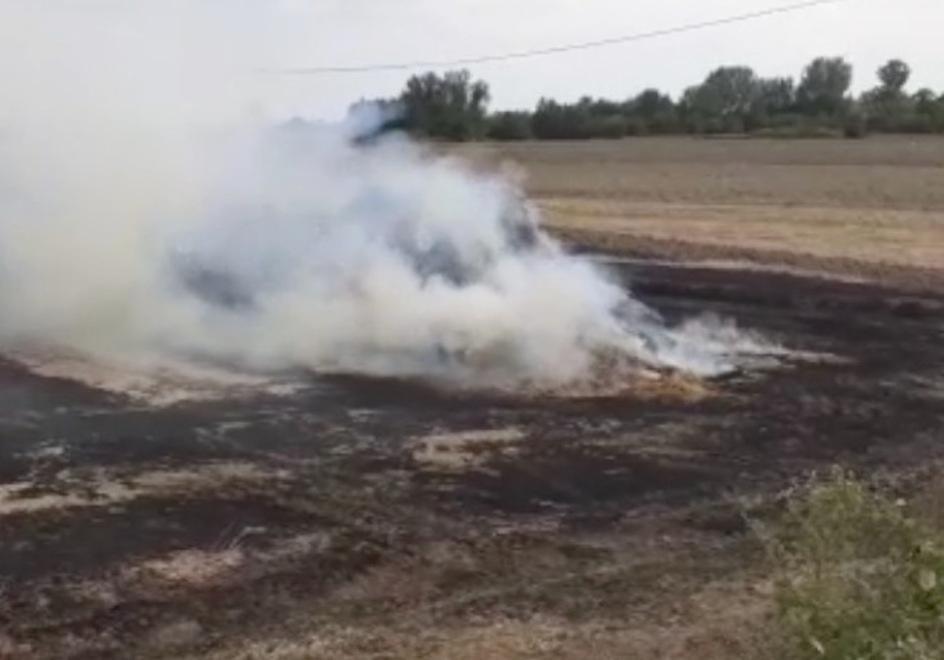 Campo di grano va a fuoco 