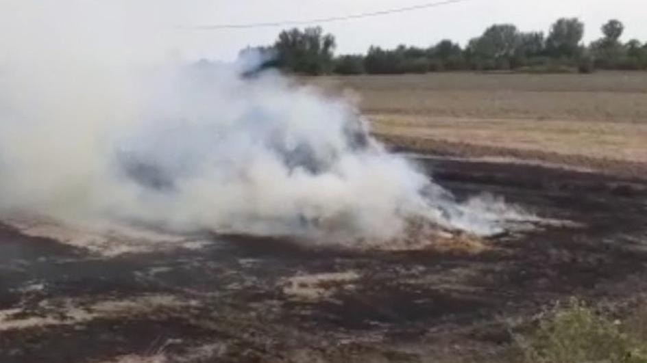 Campo di grano va a fuoco