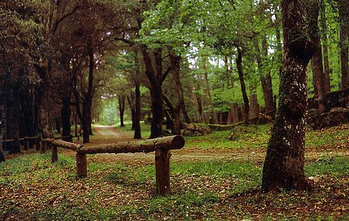 Passeggiata archeologica per scoprire Bultei 