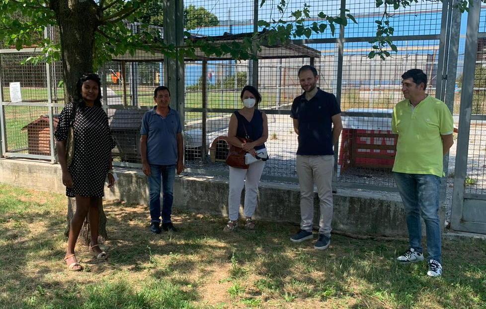 Arrivati cinque dei cani sfollati Adesso cercano una famiglia