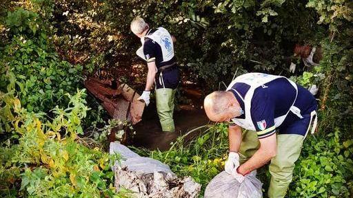 Volontari per pulire i fiumi Nemmeno la pioggia li ferma