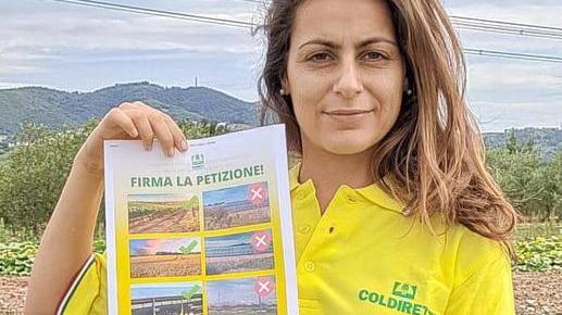 Stop ai pannelli solari sui terreni agricoli Petizione della Coldiretti