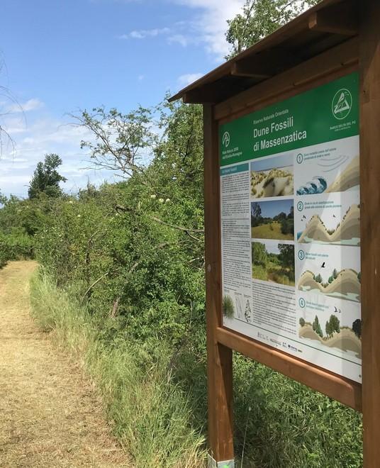L’Ente Parco: sta migliorando la situazione di dune e pineta 