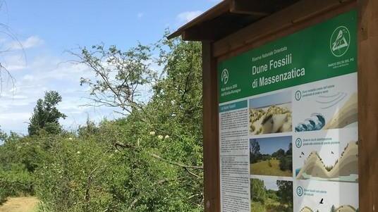 L’Ente Parco: sta migliorando la situazione di dune e pineta