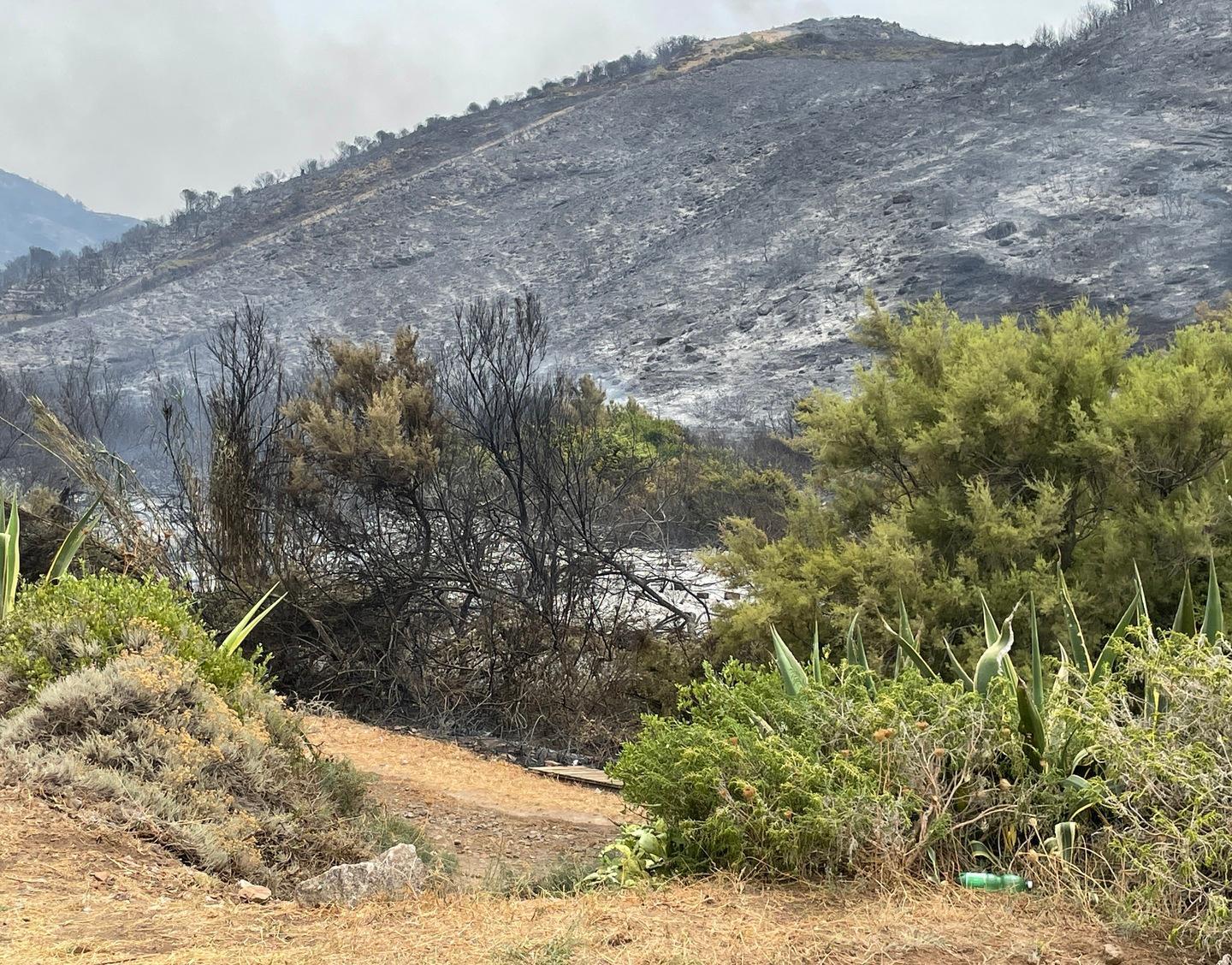 I lavoratori della campagna: «Noi sentinelle anti incendi»