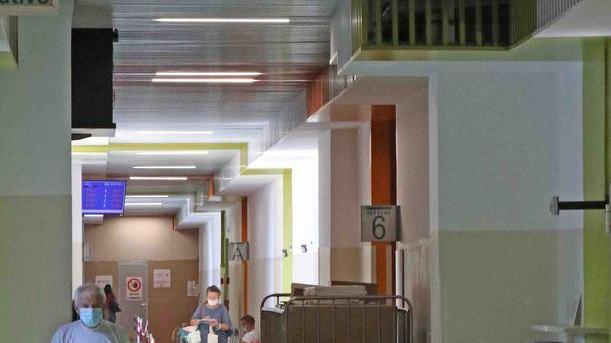 Nuove Case Salute e Ospedali di Comunità. Uno anche a Ferrara
