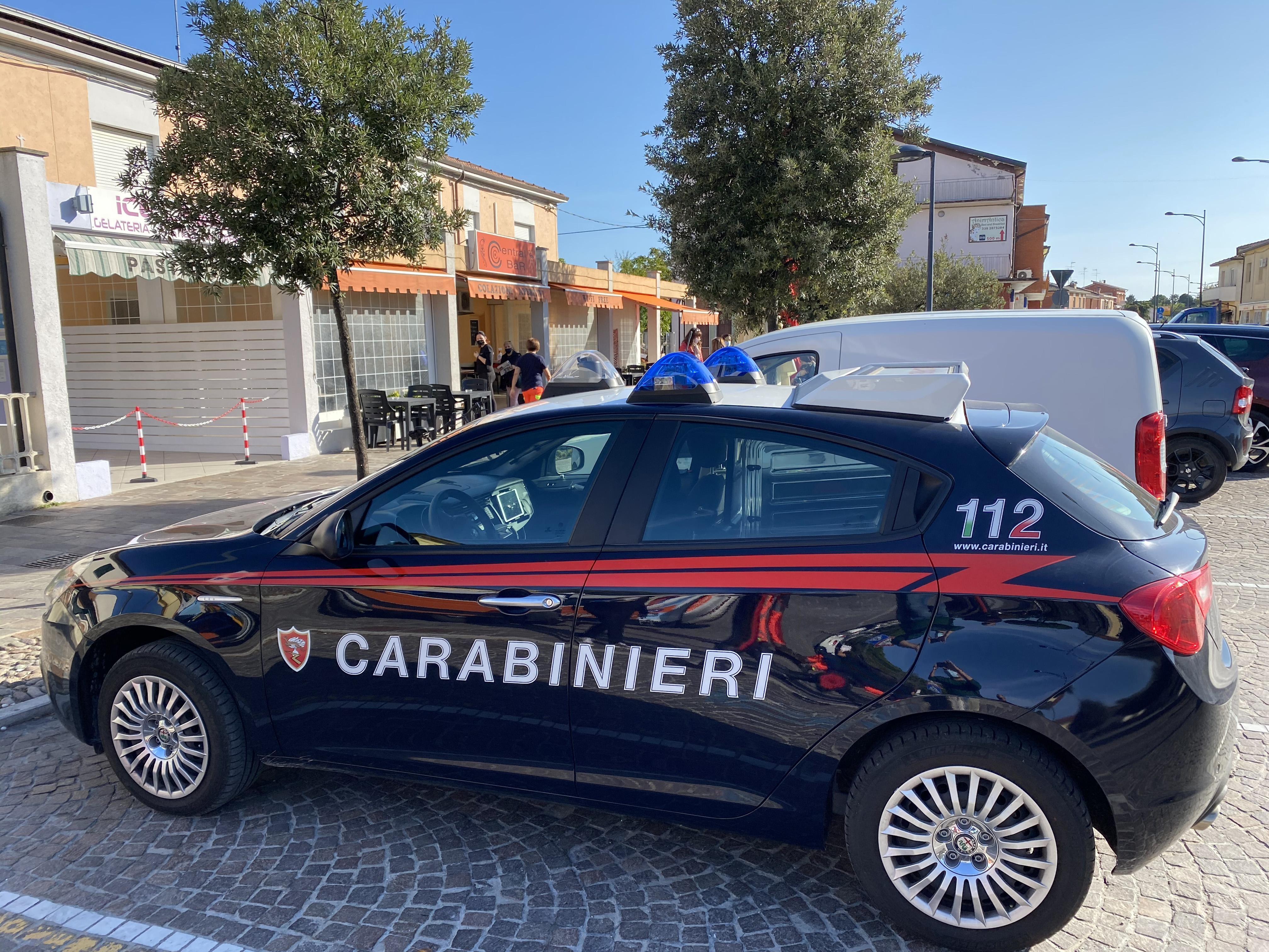 Sono stati i carabinieri a denunciare la ladra della fioriera