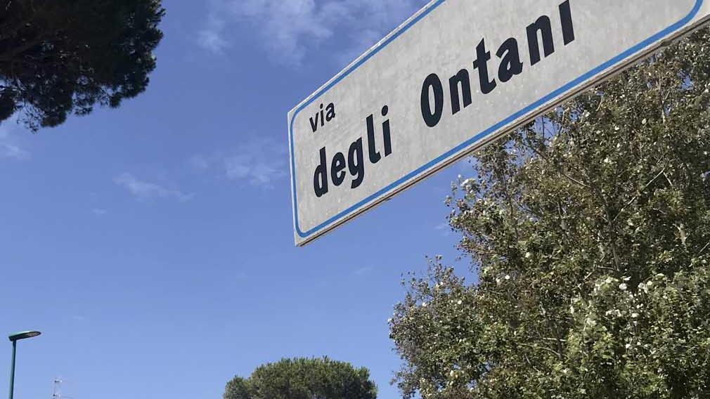 La via dove è avvenuto lo scippo