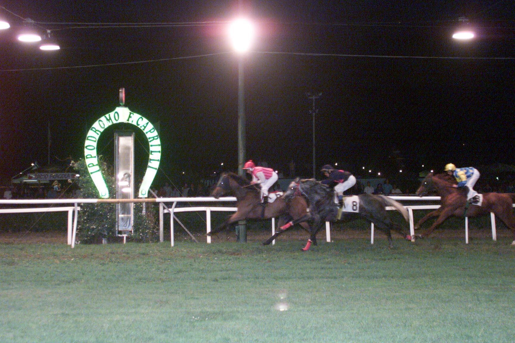 Caprilli, c’è l’ok alle corse dei cavalli: giornata di gare a Ferragosto 