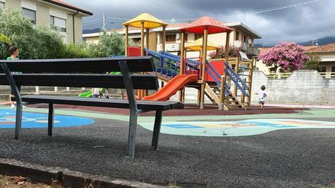 Gatto traffitto da uno stecco petizione per il degrado al parco