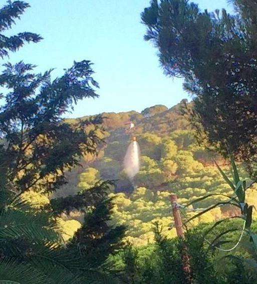 Costa orientale, ancora fiamme Brucia un’area verde a Norsi 