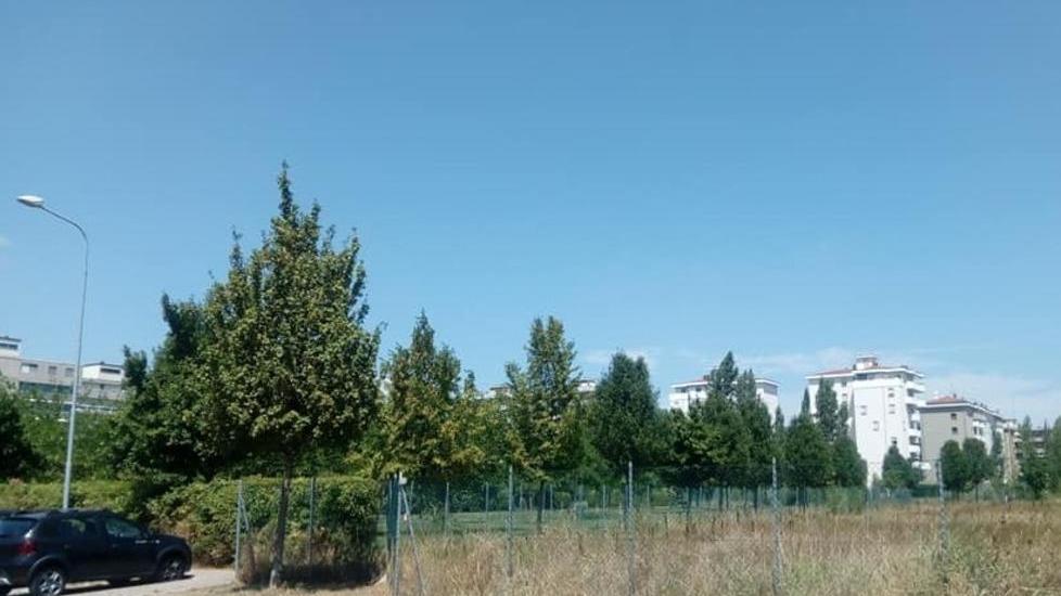 «Area ex Silan, il Comune limiti la zona edificabile»