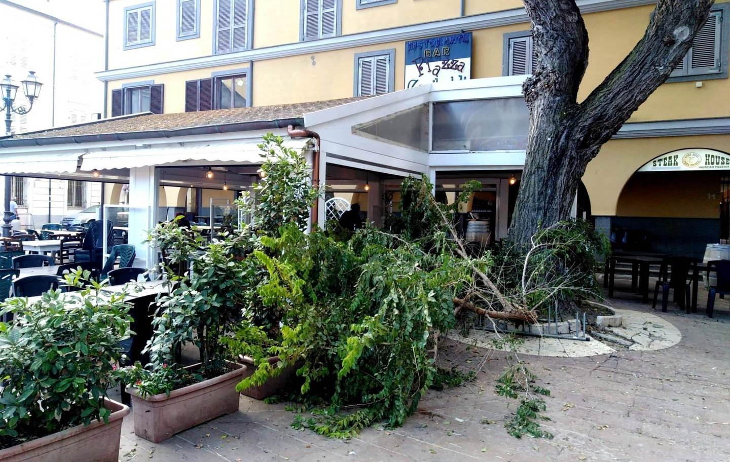Piazza Garibaldi “minacciata” da un albero 
