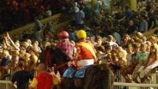 Caprilli, sei premi: Coppa del Mare il clou