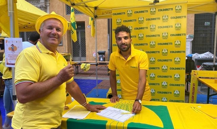 Petizione di Coldiretti «Pannelli solari non sul suolo agricolo»