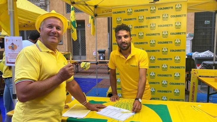 Petizione di Coldiretti «Pannelli solari non sul suolo agricolo»