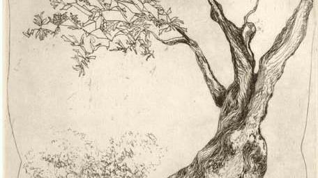 Paesaggio protagonista Artisti ferraresi in coppia esposti in parete al Maf